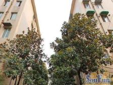 精装全明一房 花园位置 业主诚意出售 看房随时方便