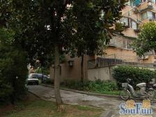 楼层好,花园位置,全明位置,诚意卖