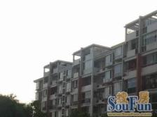 阳明国际花苑(一二三期) 4室2厅2卫 南北