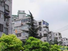 高区视野开阔,全明户型,看房方便