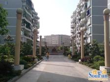 农业园区 青河苑三房80万