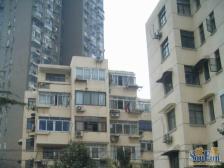 近地铁,刚需上车 随时看房 必看好房