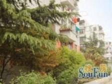 中间楼层,全明户型,卧室朝南,采光无遮挡