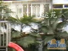 主卧朝南,交通便利,不限购,刚需好房