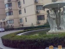 近地铁,电梯房 新上房源