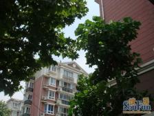 近地铁 产权清晰 现场实勘 电梯房 必看好房