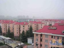 近地铁 电梯房,刚需上车 急售房源