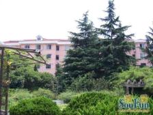 仙霞·虹仙小区-仙霞路750弄·2室·1厅
