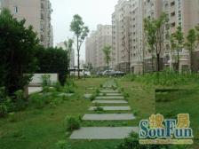 近地铁,中间楼层,电梯房 新上房源