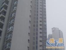 中山公园·利星国际广场·1室·2厅