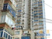 电梯中高区 全明户型 小区美丽家园已做 看房方便