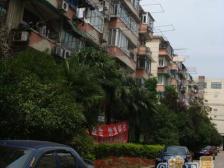 长风二村1室南朝向238.00万元/套出售