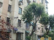 电梯房3楼,南北通户型,近大渡河路地铁,长风公园