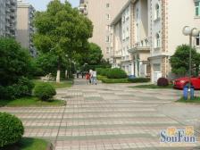 别墅区品质小区 顶复带露台 阁楼 视野好