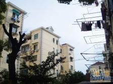 中间楼层,小区位置好,双轨地铁,业主诚意有钥匙