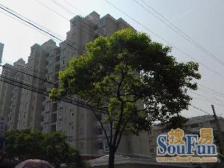 双南两房,精装修,出行便捷,生活配套齐全。