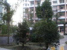 开元坊2室南朝向1080.00万元/套出售