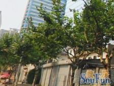 内环8/18双轨交通,商圈核芯位置,中间楼层,精装修