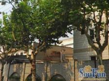 品质小区,环境优美,诚意出售,精装好房