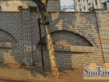 南北全明户型,阳光充足,近地铁,紫荆广场