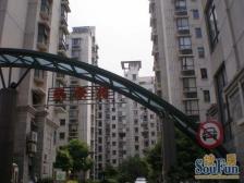 望景苑 2室2厅1卫 南