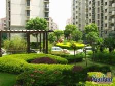 小高层电梯中区,错层板式大三房,得房率高,全明户型,价格可谈