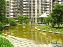 望景苑2室南朝向899.00万元/套出售