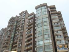 百平米大露台 南北通全明 采光视野佳 诚心出售老客户看房方便