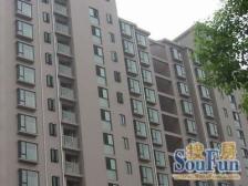 双南户型、诚意出售,高区视野好,前后无遮挡