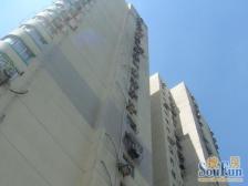 远观东方明珠 闹中取静 高区可设计3室 楼层佳户型正