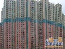 电梯房两梯八户 普通住宅 出行交通方便 小区环境好