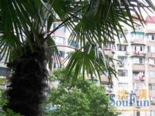 满五边套全明 楼间距宽阔采光好配套设施齐全交通便利