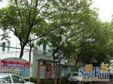 近地铁,满五,新上房源