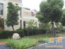 一楼老人房,花园百平,带车库地下室,必看好房