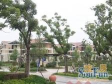 新上房源产权清晰下叠带花园无抵押必看好房