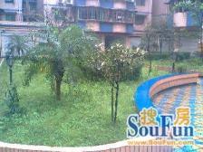 高滩岩九号线三百米联合花园正规两室两厅一厨一卫