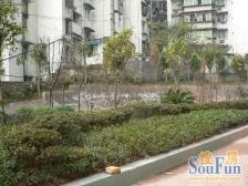 南坪东路 烟雨大厦二房70.5万