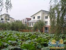 渝中区鹅岭,临地铁,电梯,精装两房,业主诚心出售