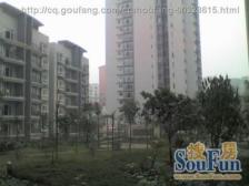 鱼洞 滨江大厦三房59万