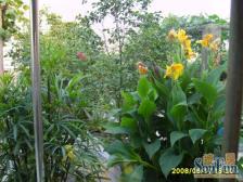 鑫泰花园 清水3房 户型方正 业主安心卖 价格可沟通