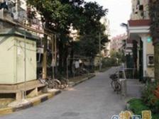 地铁双轨交通 中间楼层 诚心出售 看房随时