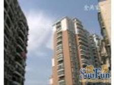 近地铁 随时看房 电梯房,精装 新上房源