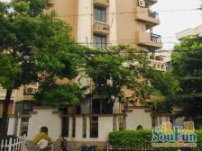 装修近100万,金杨商品房,三个大露台,使用面积超过两百多平