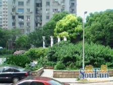 陆家嘴世纪大道,精装修,非顶非底,位置安静随时看。