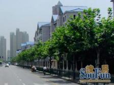 世纪大道地铁+中间楼层,采光视野好,看房有钥匙