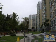 襡家代理|店长力推|百万豪装|电梯中区