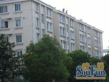 近地铁,精装,中间楼层 电梯房 新上房源