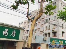 大开间,环境优美,居家装修,采光充足