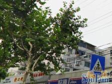 五角场94年房龄+近大学路+中间楼层+位置好