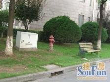 紫腾苑(静安)2室南朝向415.00万元/套出售